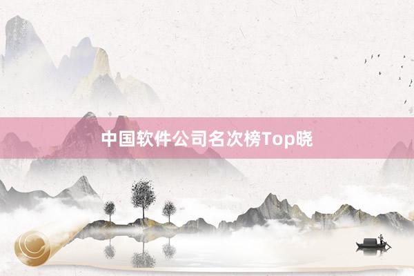 中国软件公司名次榜Top晓