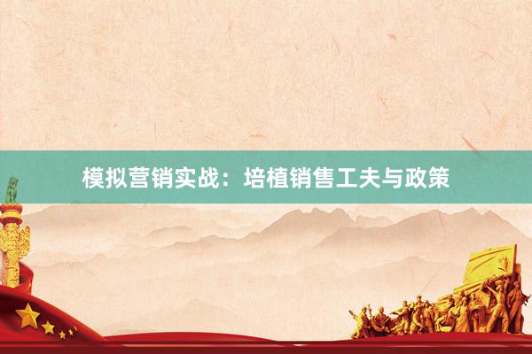 模拟营销实战：培植销售工夫与政策